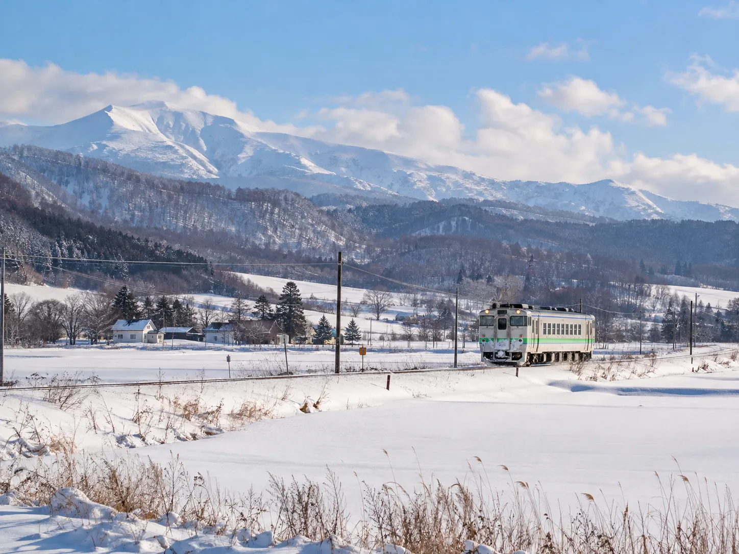 列車穿過北海道的旅行景色插畫